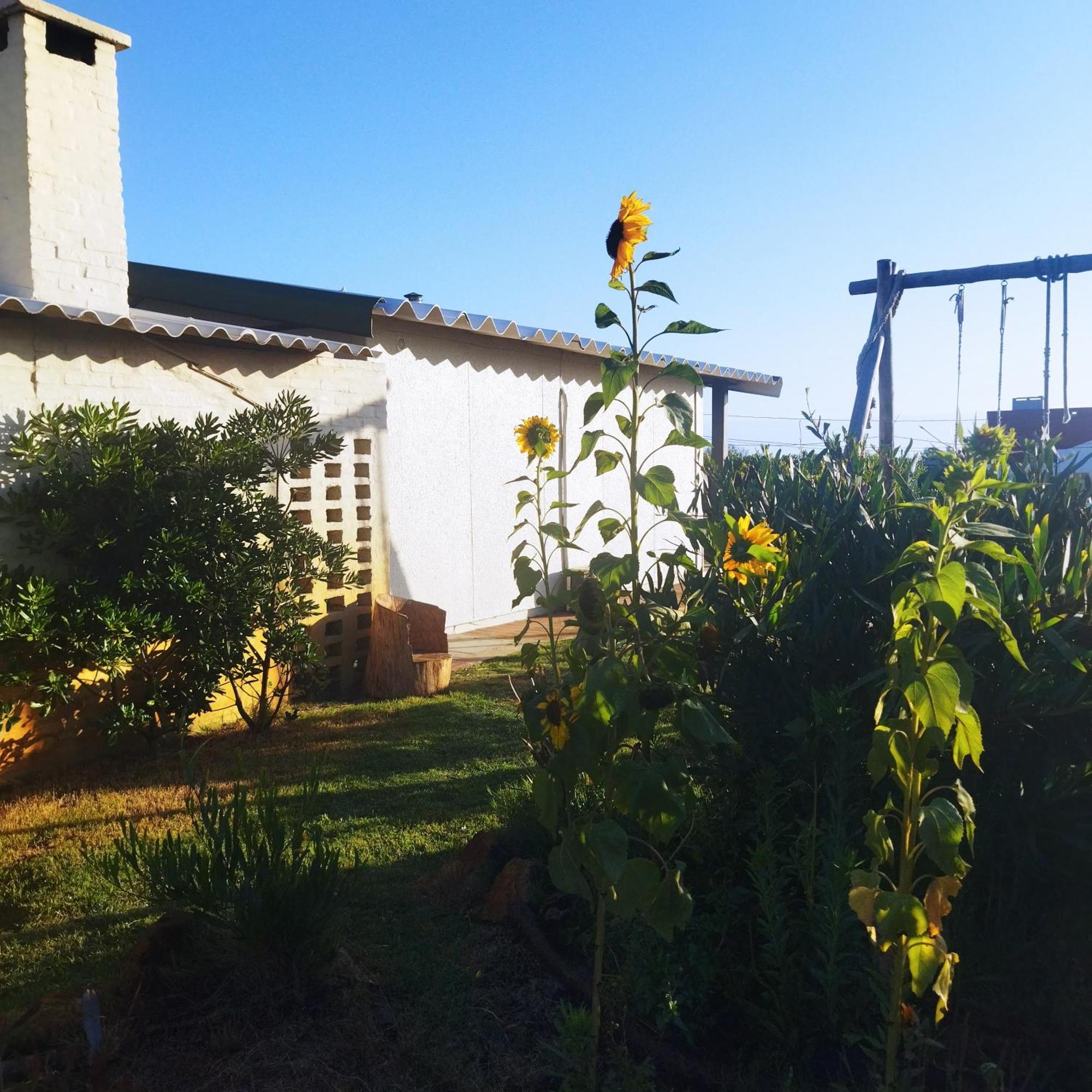 Casa Atamar, La Balconada, La Paloma, Rocha Holiday home *
